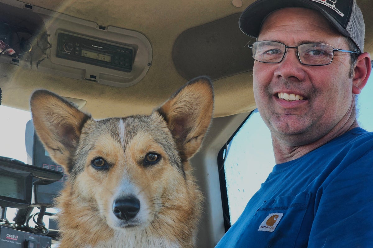 Farmers weigh Trump's trade war like they watch the weather, waiting to see how things go