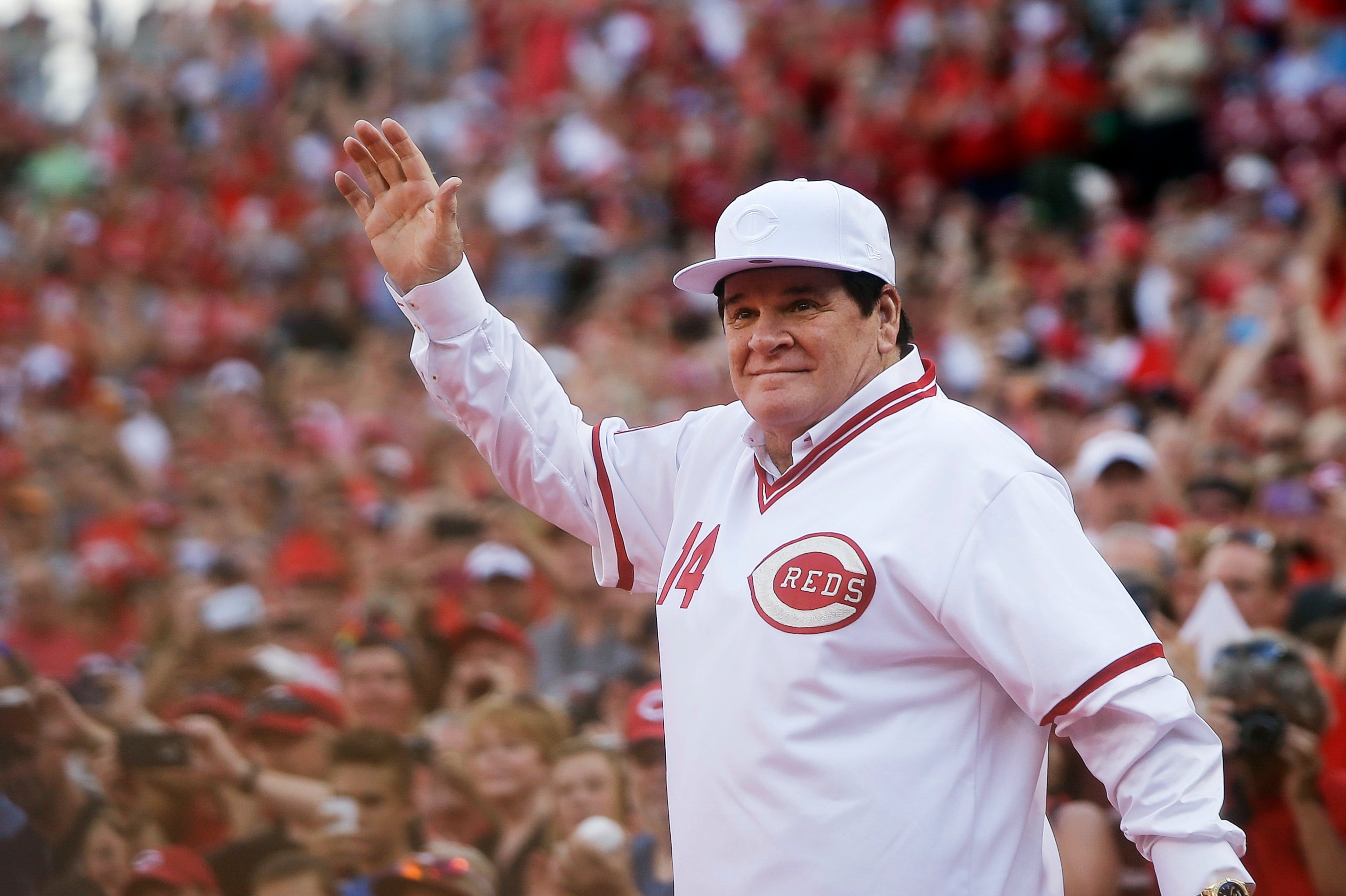 PETE ROSE