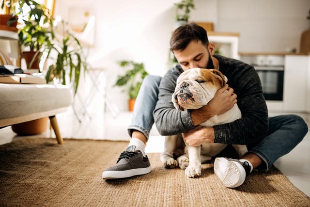 <p>The majority of pet owners prefer to spend time with their pets than their partners, family or friends when they are stressed, a new survey has revealed.</p>