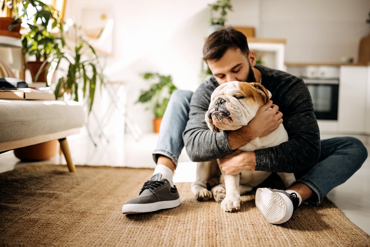 Cats and dogs preferable to spouses after a stressful day