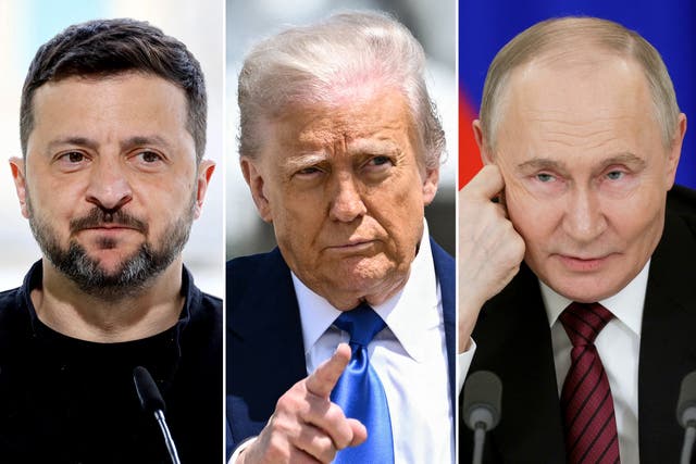 <p>Ukrainian president Volodymyr Zelensky is in Turkey for talks, but Donald Trump and Vladimir Putin are no-shows.</p>