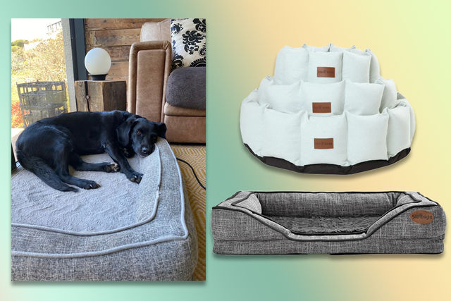 <p>We called in the help of some canine testers to put these dog beds through their paces </p>