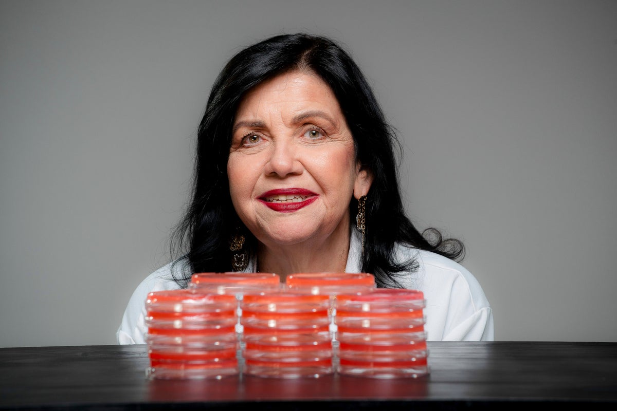 Food grown with fewer chemicals? Meet the Brazilian scientist showing the way