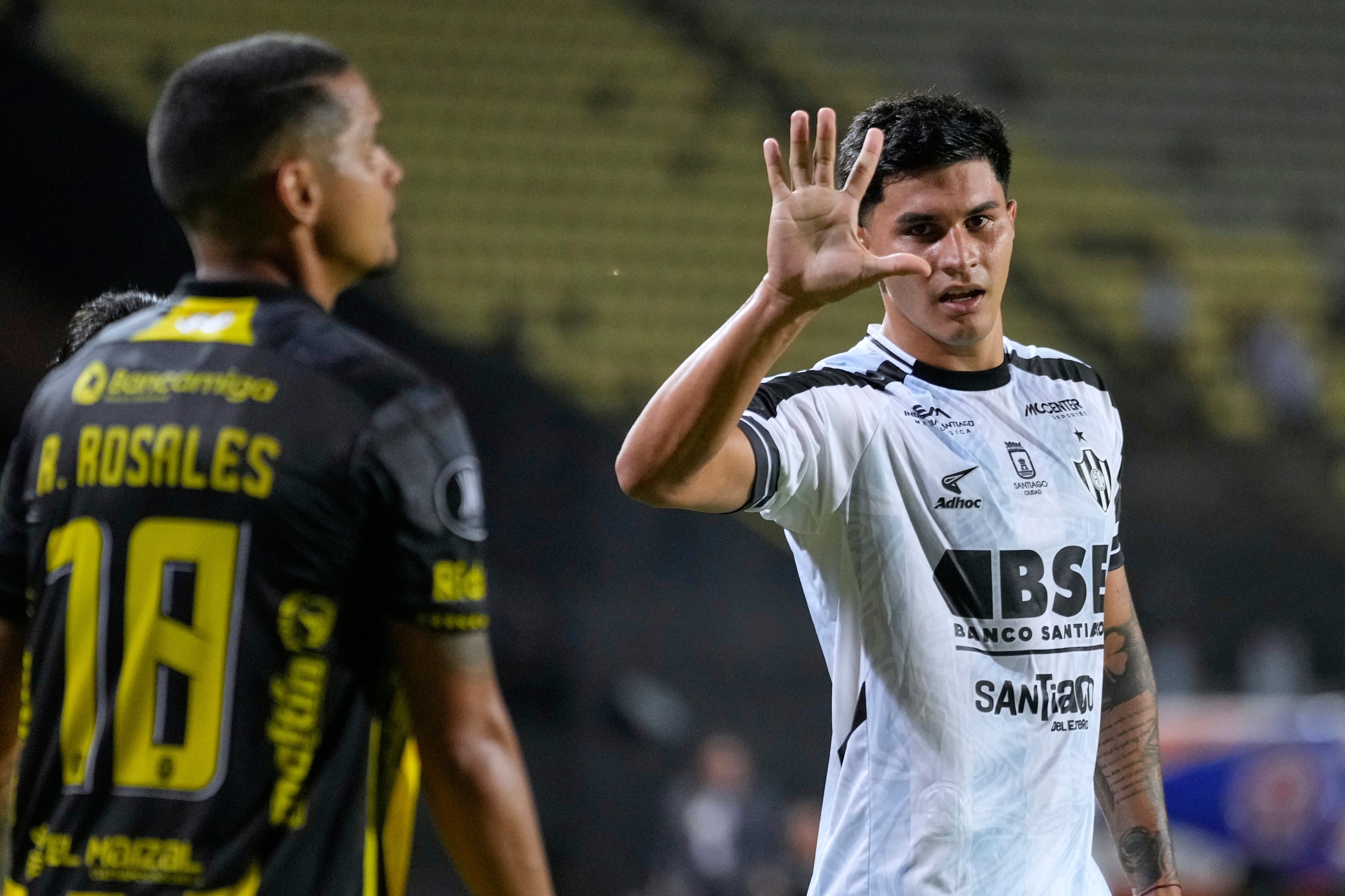 LIBERTADORES-RESUMEN