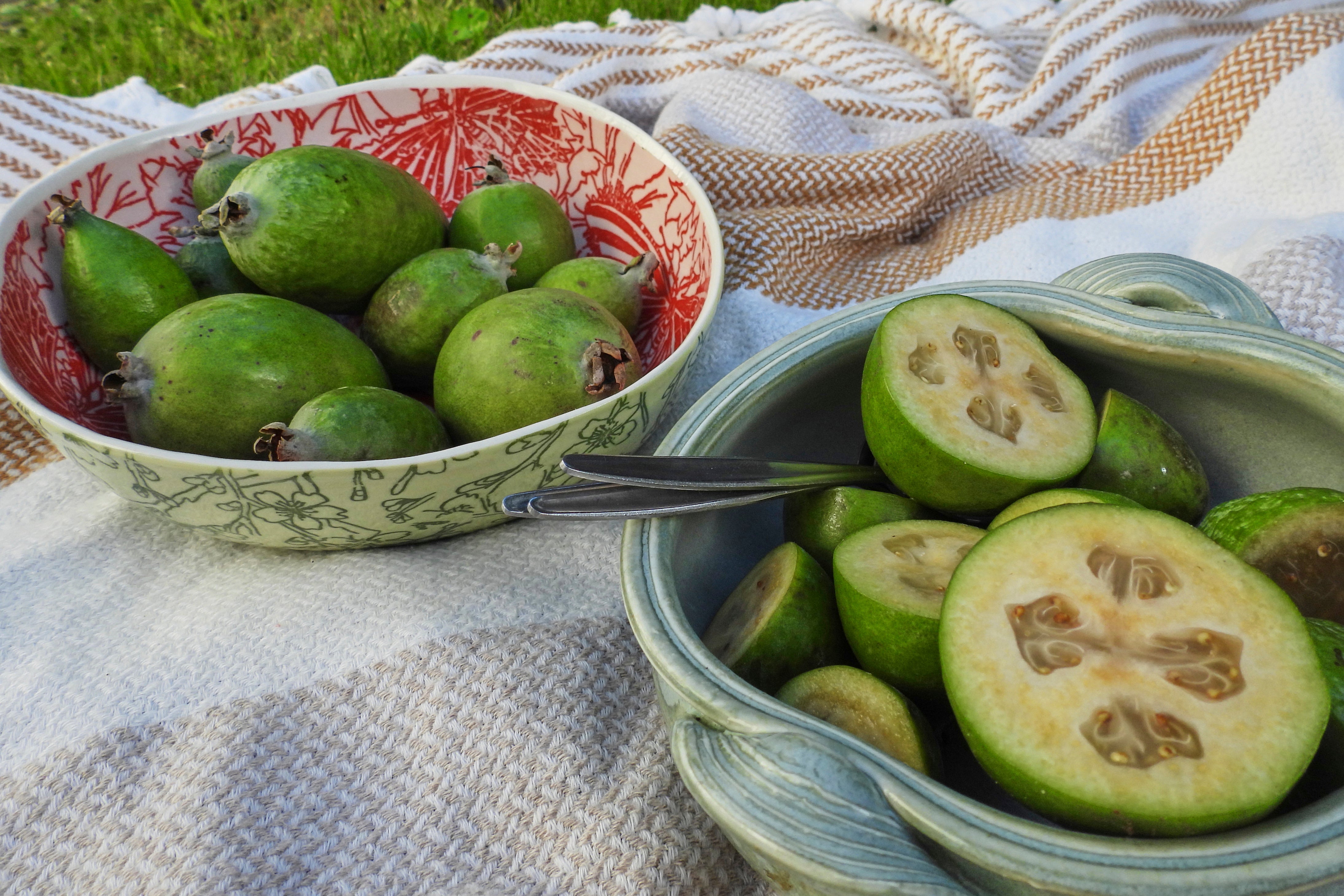 New Zealand Feijoas