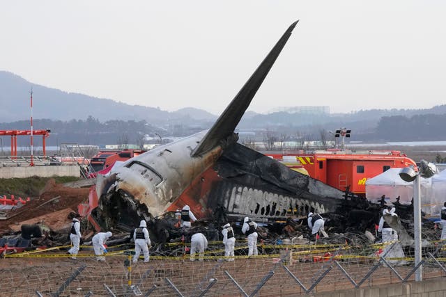 <p>Rescue workers at the site of a plane crash at Muan International Airport in South Korea on 31 December 2024</p>