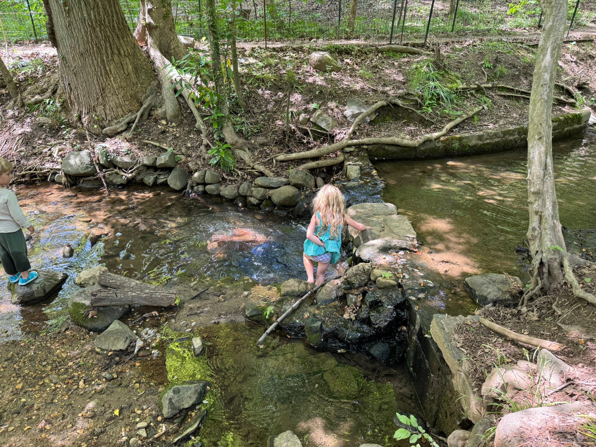At one point, RFK Jr. appeared to be fully submerged underwater in Rock Creek