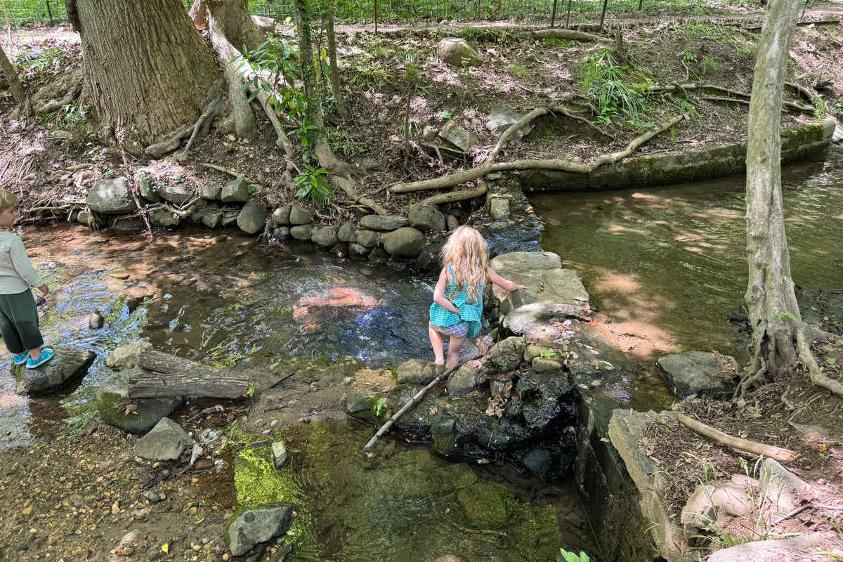 ‘It doesn’t look like it’s filled with sewage’: Fox News host defends RFK Jr swimming in contaminated Rock Creek