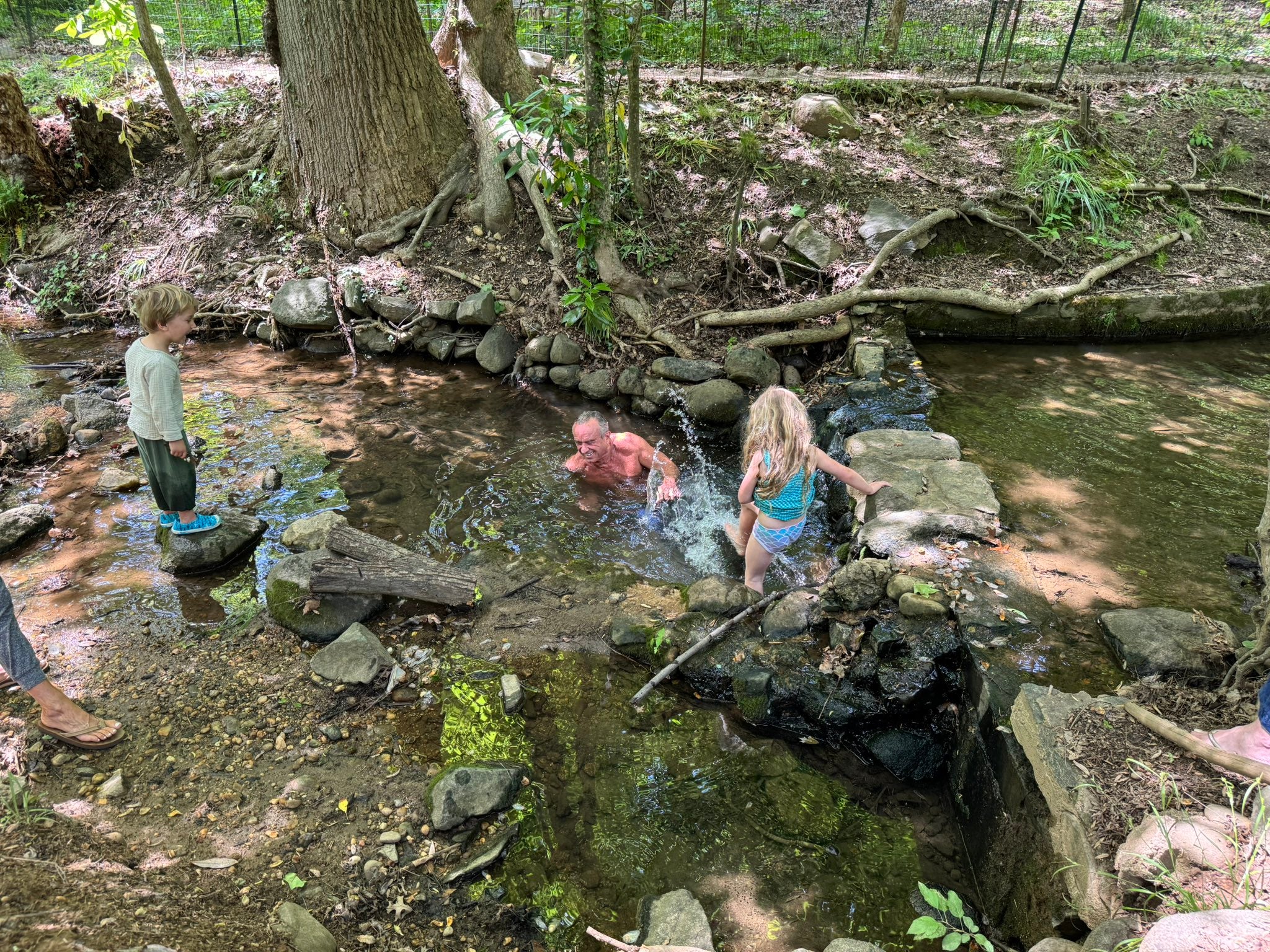 RFK Jr. posted pictures of him and his family taking a swim in the bacteria-ridden creek Sunday