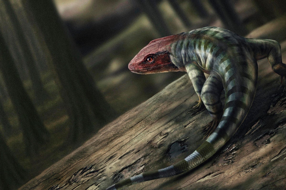 Ancient footprints rewrite the history of when animals began to live on land