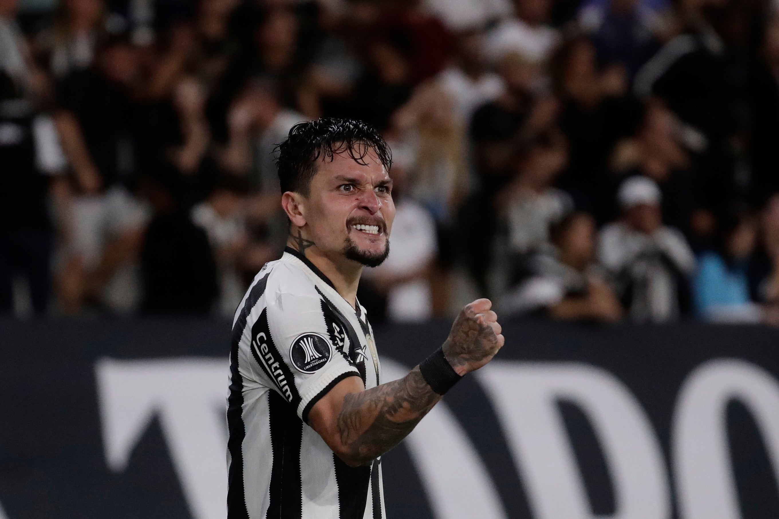 LIBERTADORES-RESUMEN