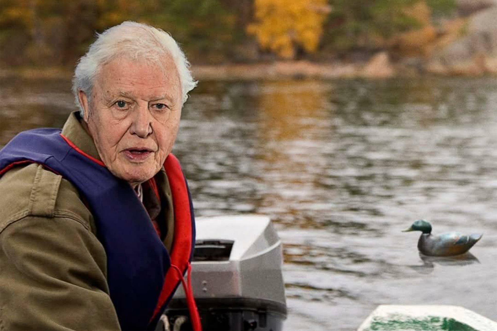 BBC feirer David Attenboroughs 100-årsdag med ny serie om hans livsverk — image 6