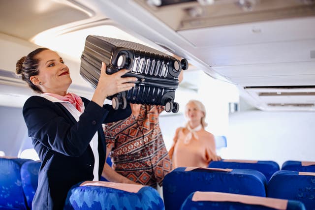 <p>A passenger challenged Ryanair after they were charged for hand luggage that, according to the court, could ‘perfectly be transported in the cabin’</p>