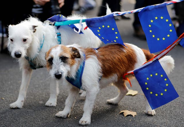 <p>The EU pet passport is a simple, one-time document that is valid for life, as long as rabies vaccinations are up to date</p>