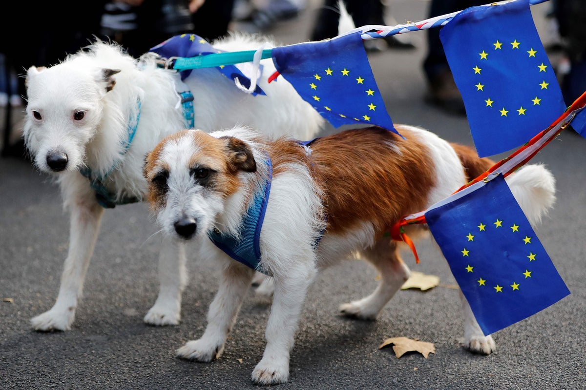UK requests return to EU's freedom of movement for pets