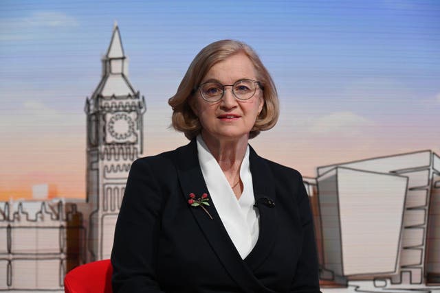 In her maiden speech in the House of Lords, Baroness Amanda Spielman said it can be ‘easy’ to label those having to make difficult decisions as ‘soulless and unfair’ (Jeff Overs/BBC/PA)
