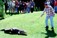 Adam Sandler’s alligator ‘friend’ and co-star to be taxidermied after sudden death