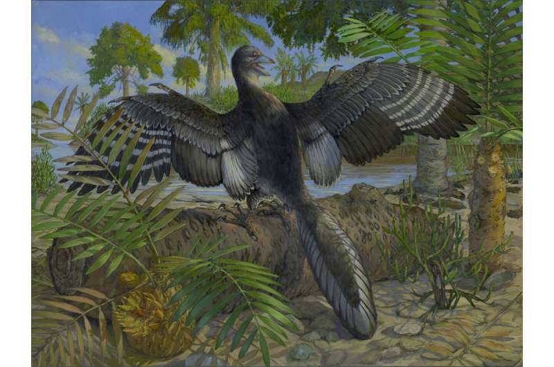 Artistic illustration of Archaeopteryx