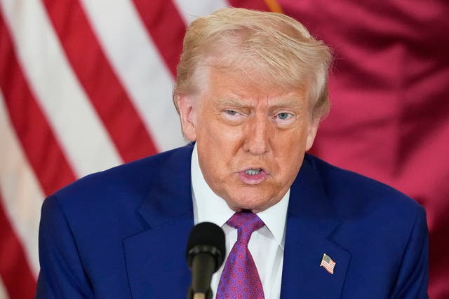 <p>Donald Trump</p>