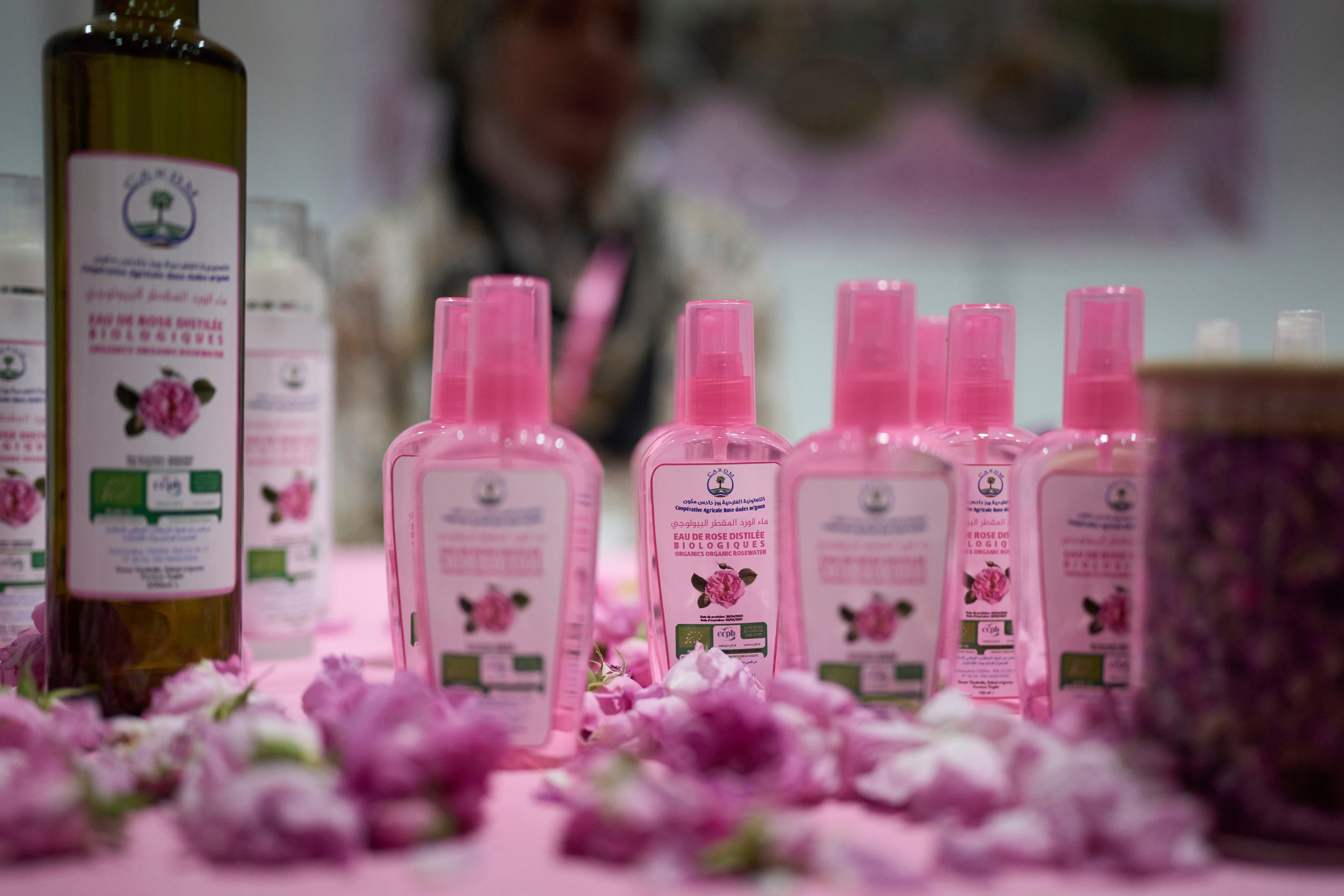 Morocco Rose Festival