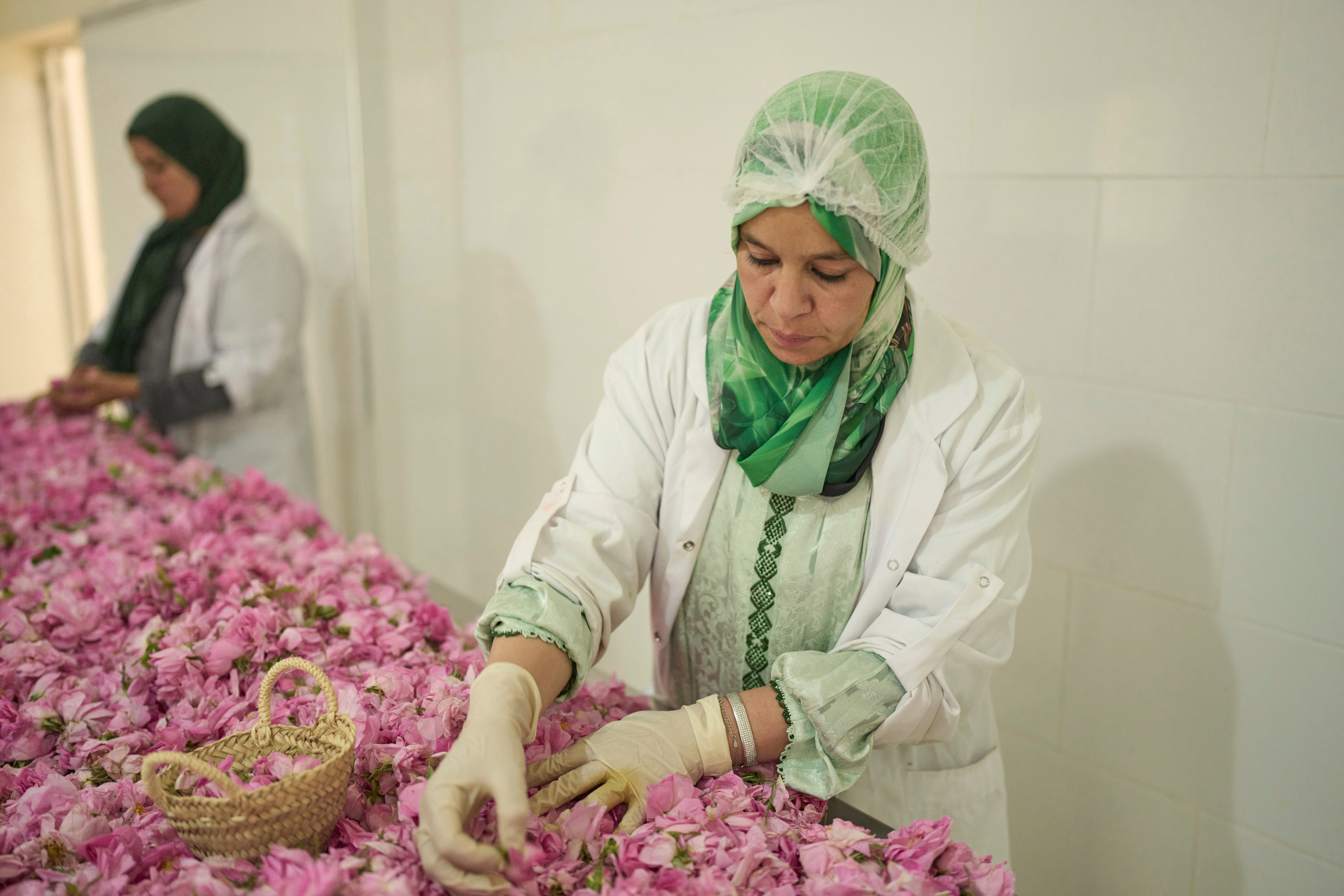 Morocco Rose Festival