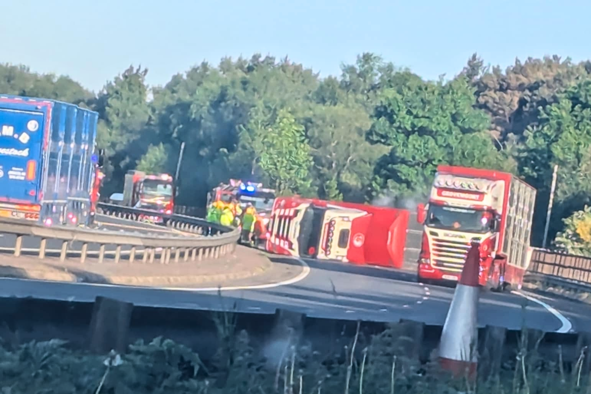 Motorway closed as rescue operation begins to free 40 cows trapped in overturned lorry