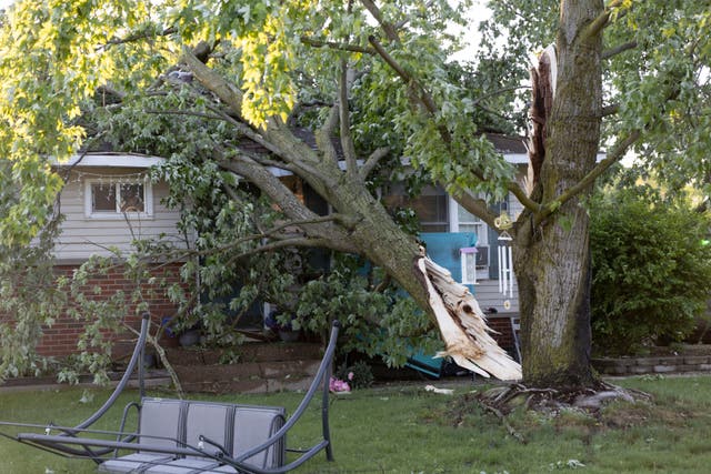 <p>A tree lays on a house in Dorr, Michigan. Michigan and other states were left without power as a result of severe weather</p>