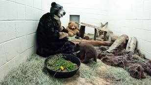 Humans in bear suits help save weak two-month-old cub