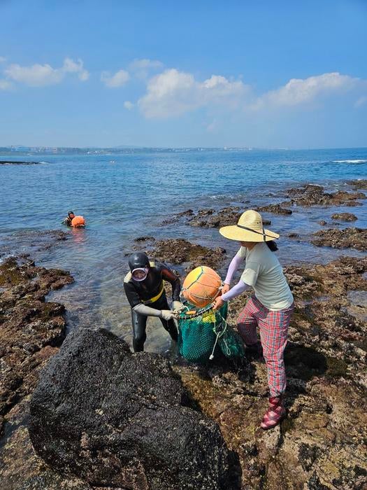 Divers haul the day's catch out onto shore