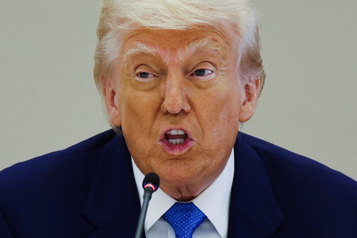 Trump goes on bizarre rant praising ‘lumberjack’ Sean Duffy