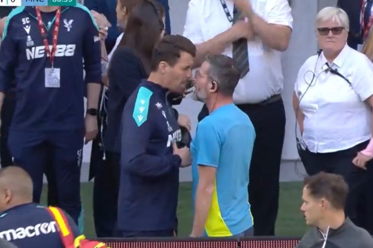 Man City physio and Crystal Palace coach separated in bizarre scenes at FA Cup final
