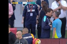 Man City physio and Crystal Palace coach separated in bizarre scenes at FA Cup final