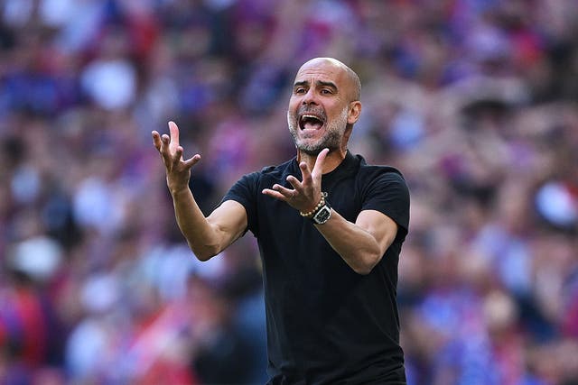 <p>Manchester City could have salvaged their season but were stunned by Crystal Palace</p>