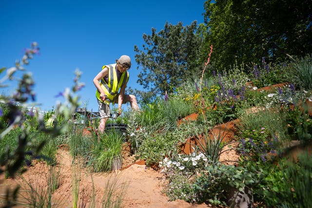 Chelsea Flower Show will feature gardens that are resilient to a drier future (James Manning/PA)