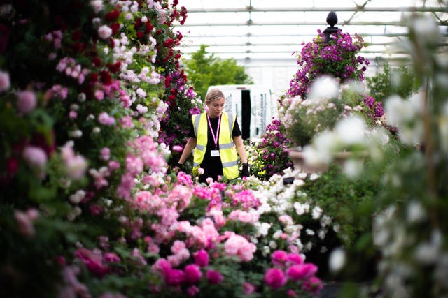 The King and Queen and celebrities will get the first look at the Chelsea Flower Show on Monday (James Manning/PA)