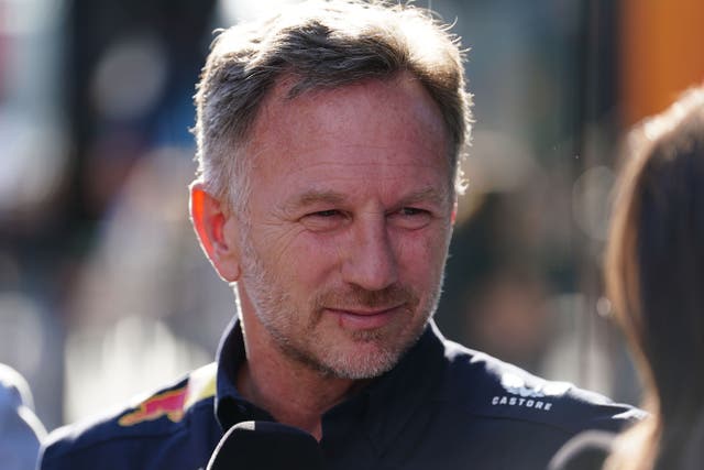 Christian Horner believes Red Bull are building momentum (David Davies/PA)