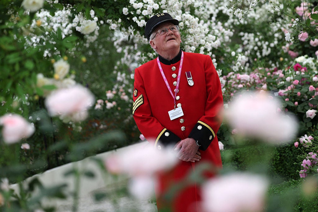 A Chelsea Pensioner looks at a display of roses at the 2025 Chelsea Flower Show on Monday 19 May