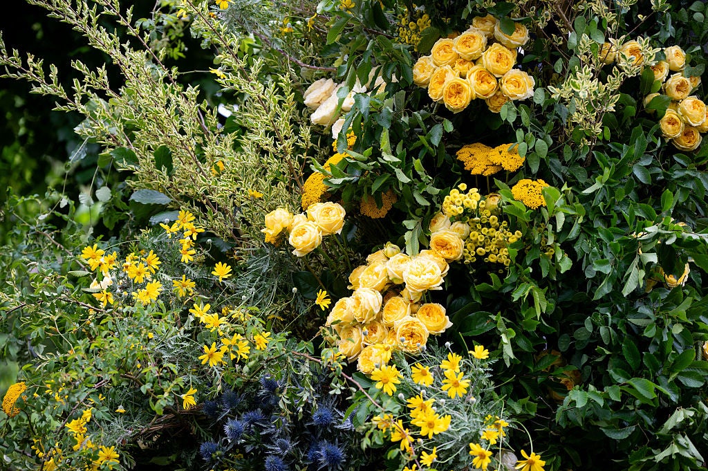A display by Lavender Green Flowers at the 2025 Chelsea Flower Show