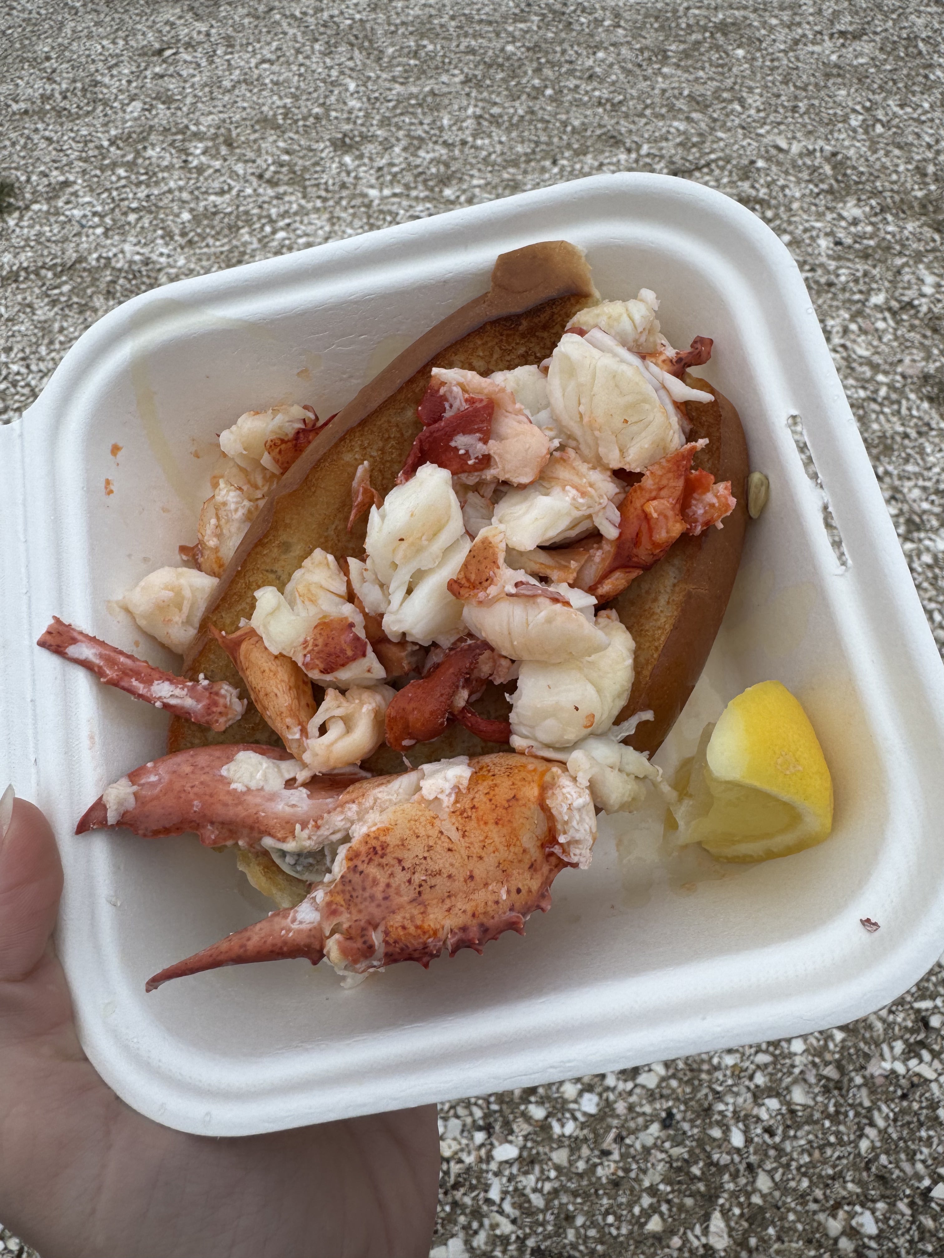 A buttered lobster roll from Menemsha Fish Market