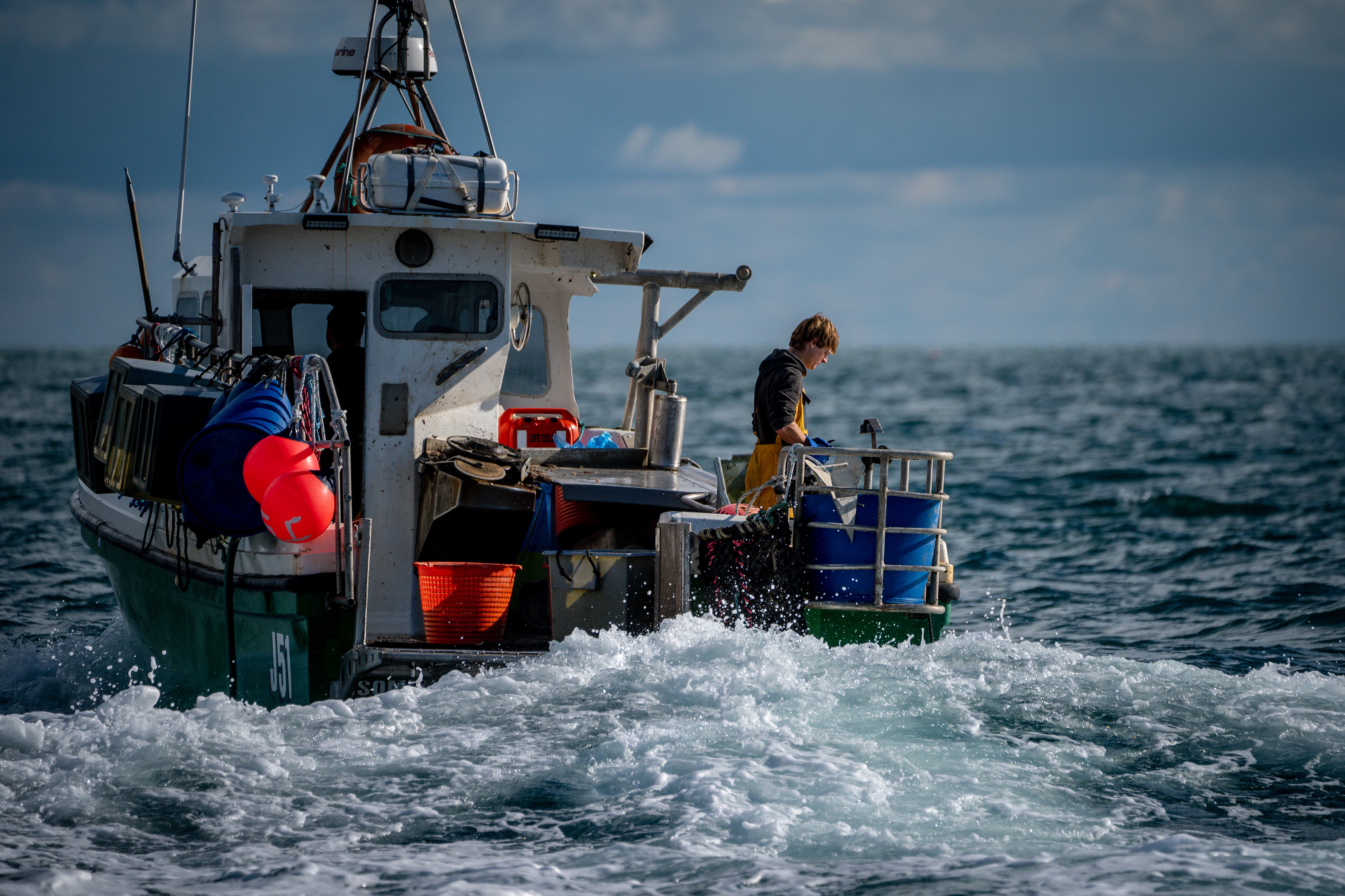Jellyfish and Mediterranean octopus have already been seen in an increase in number by fishing communities (Ben Birchl/PA)