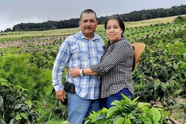 <p>Immigrants working on coffee farms have been targeted as ICE officials launch major crackdown in Hawaii, locals say</p>