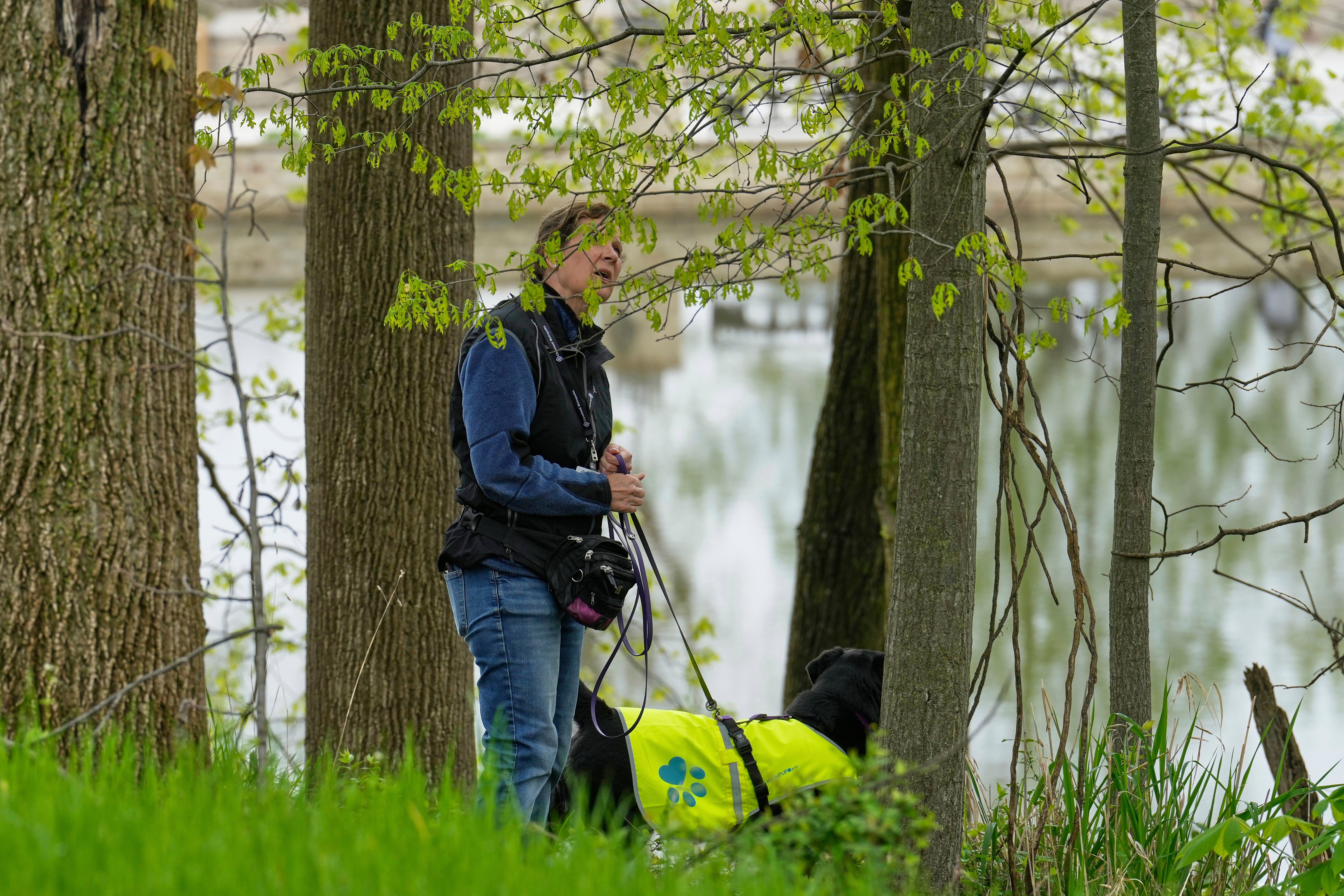 Spotted Lanternfly Hunters