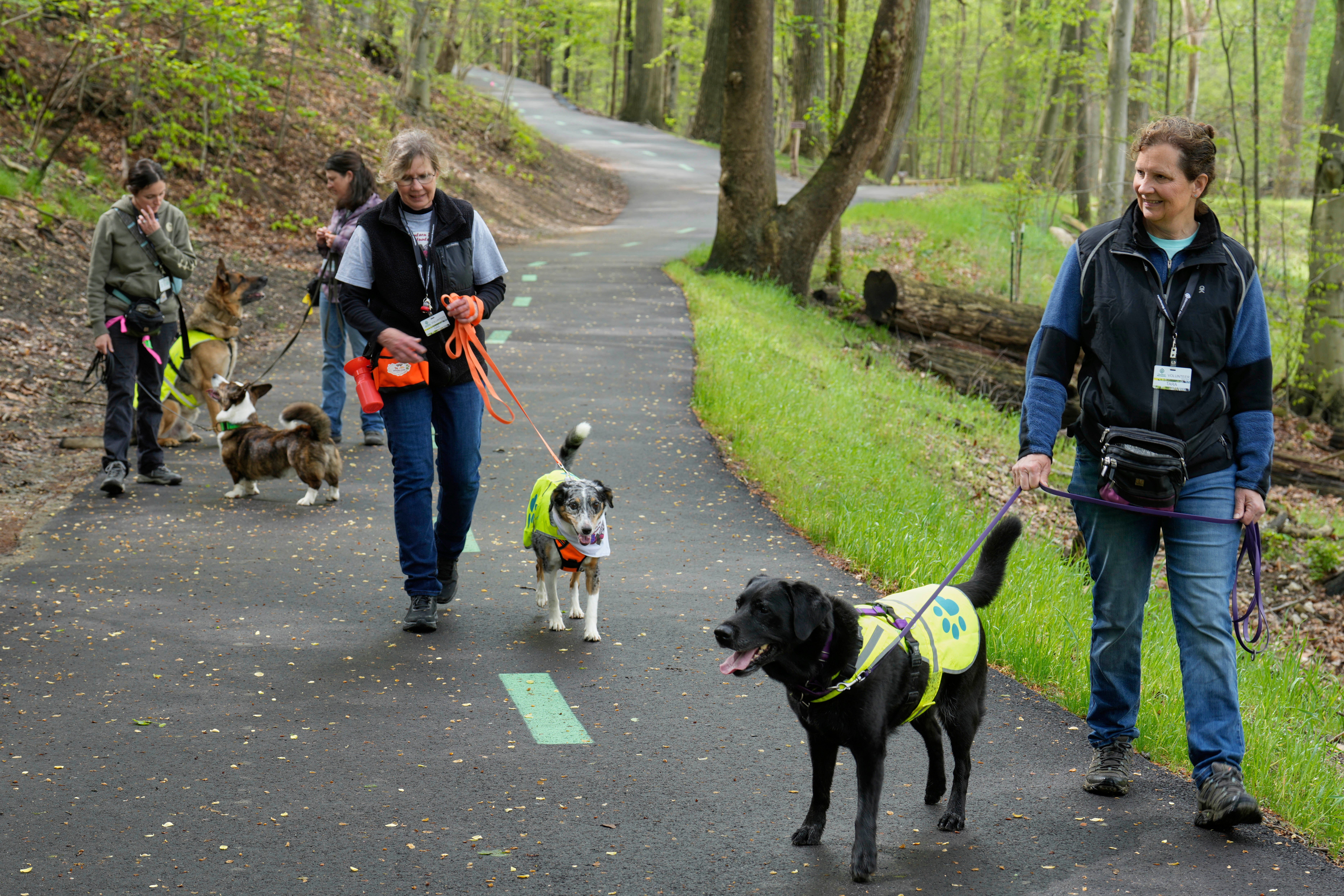 Spotted Lanternfly Hunters