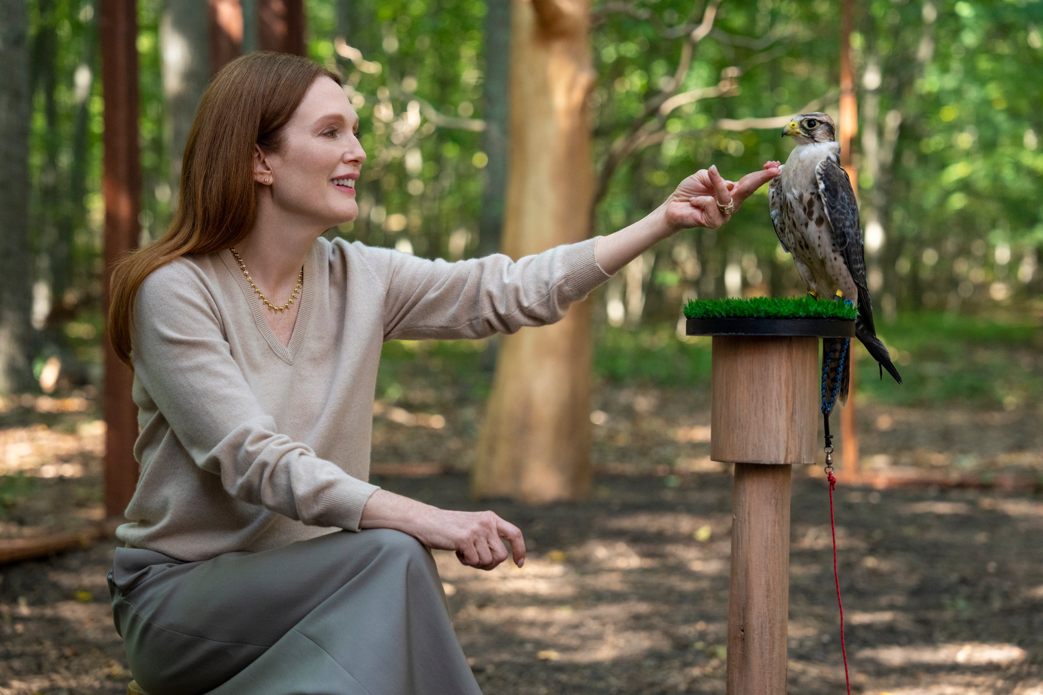 Julianne Moore plays an eccentric billionaire’s wife in ‘Sirens’