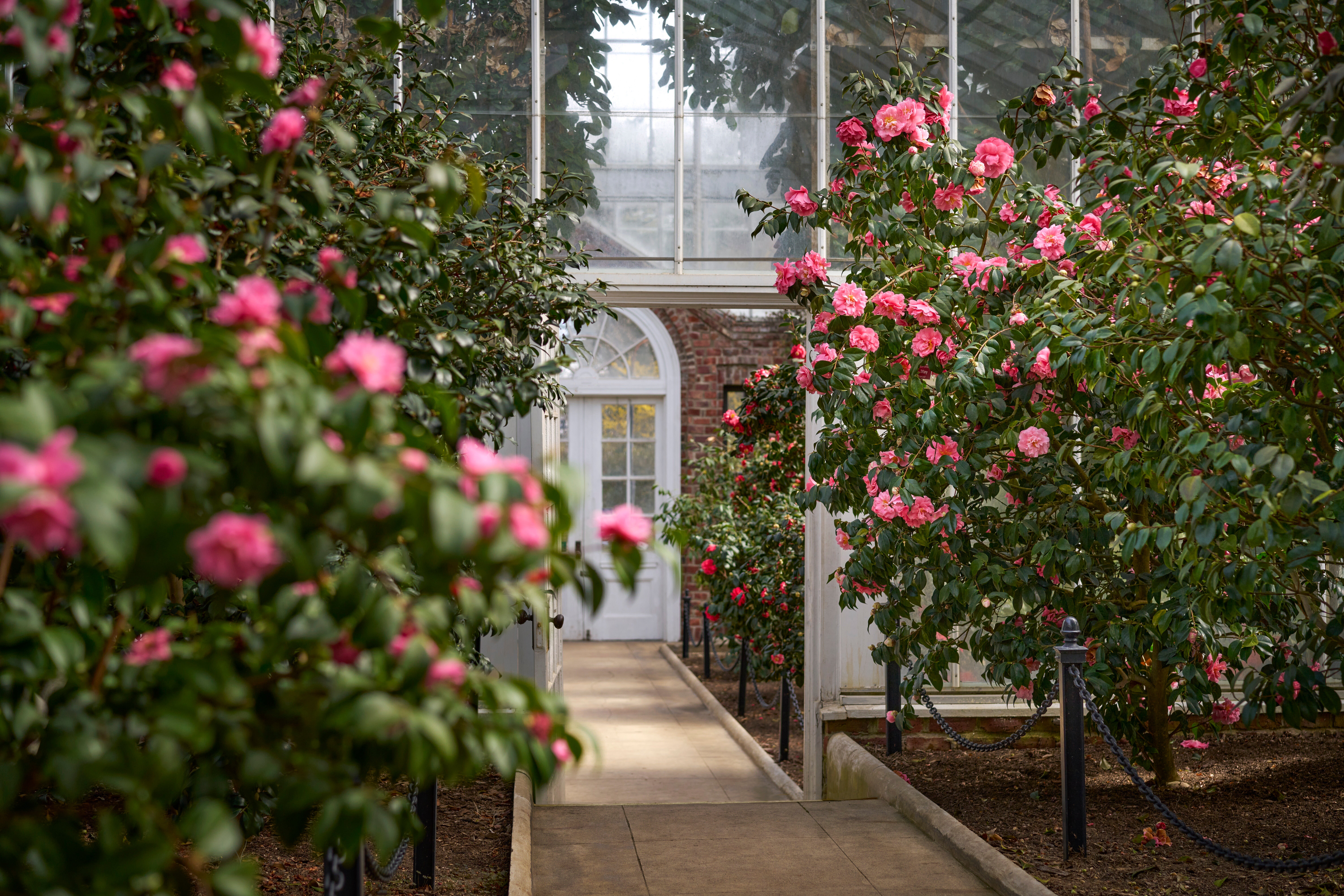 Gardening-Planting Fields Arboretum