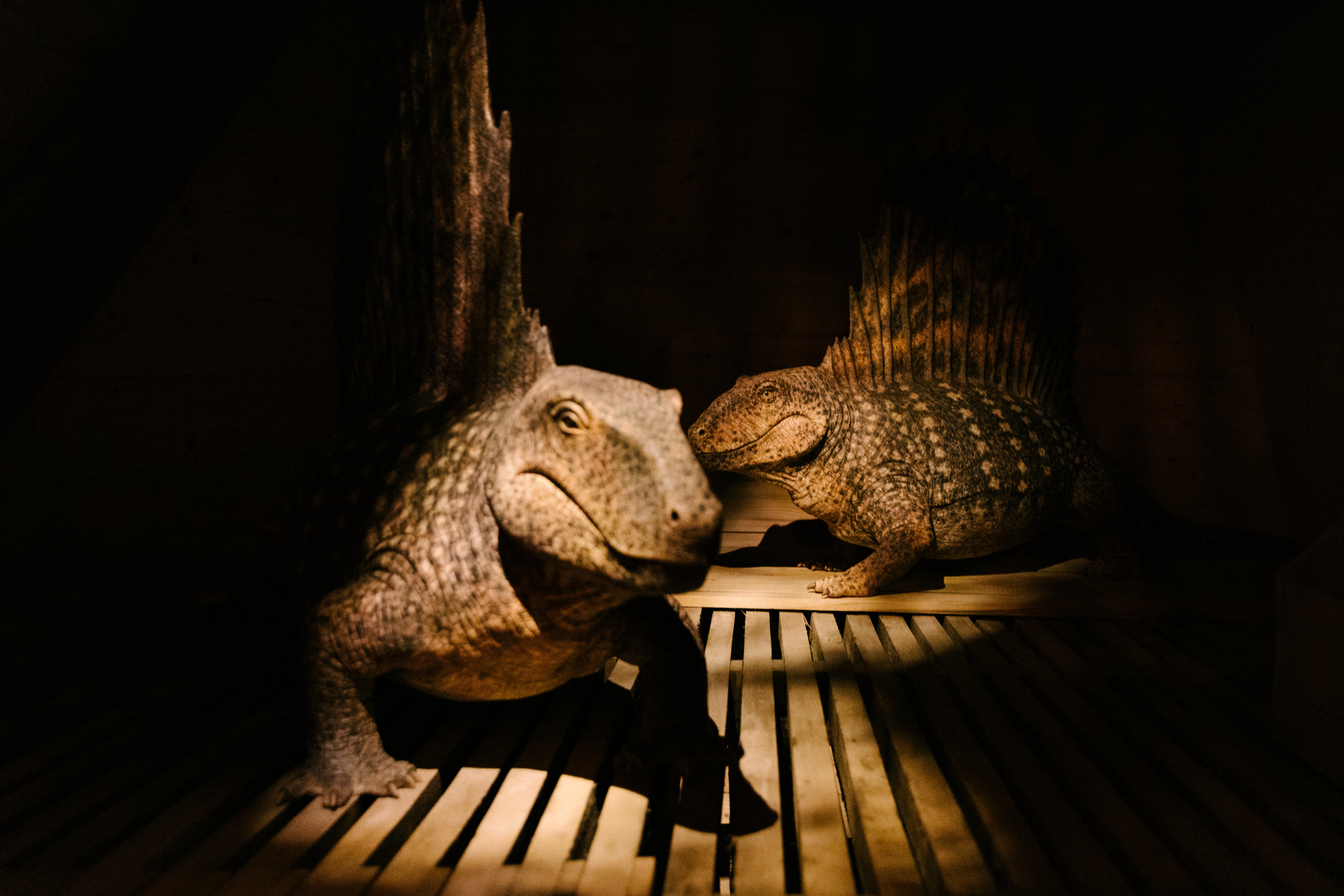 Scopes Trial Creationism Today