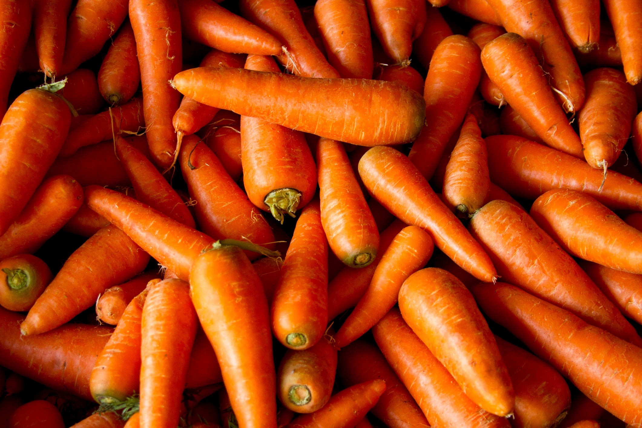 Eating carrots comes with tons of health benefits and it can protect the immune system