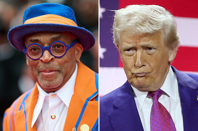 <p>Spike Lee shaded Donald Trump while speaking at the 2025 Cannes Film Festival</p>