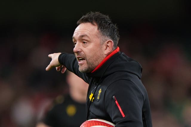 Matt Sherratt will take interim charge of Wales for summer tour to Japan (Joe Giddens/PA)