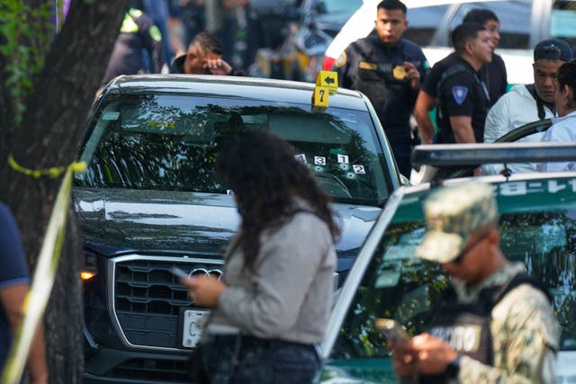 Mexico Violence